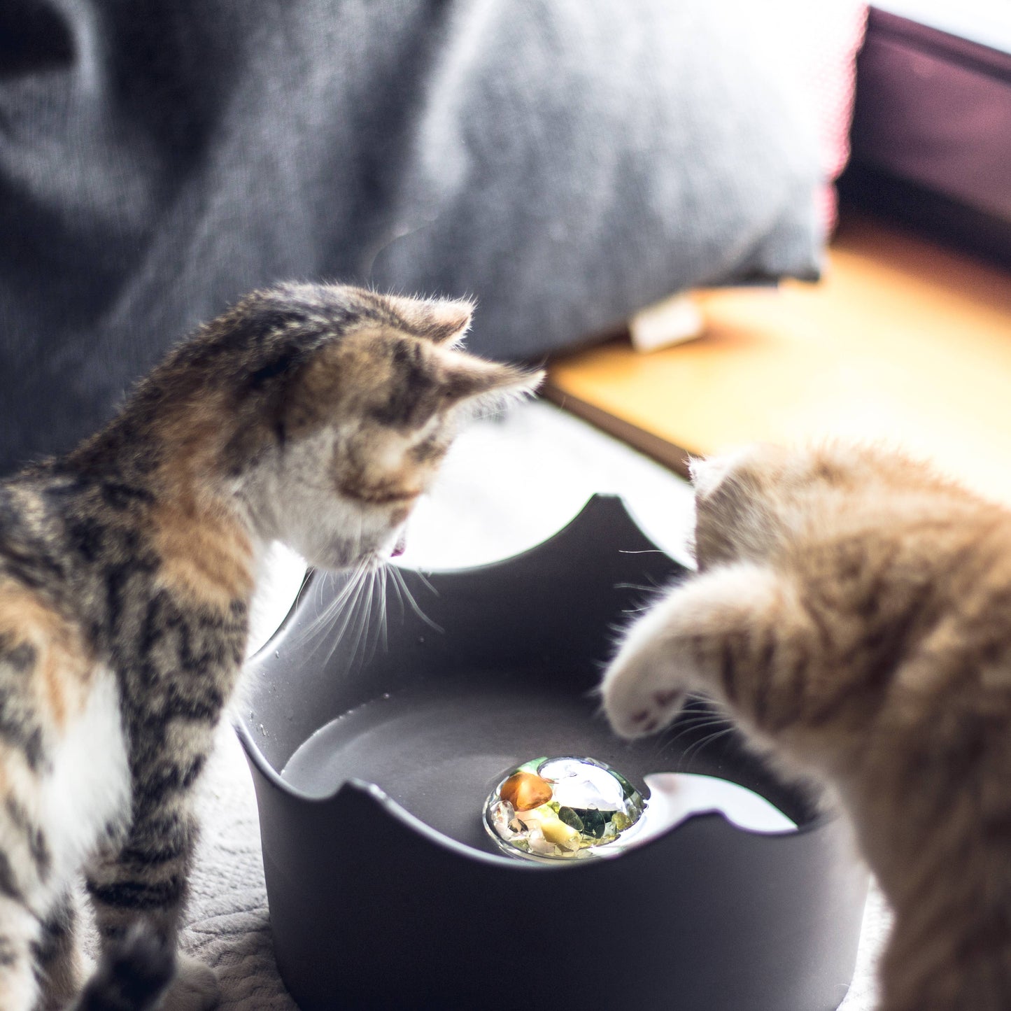 Wasserschale Crown Juwel für Hund & Katze - Schiefergrau