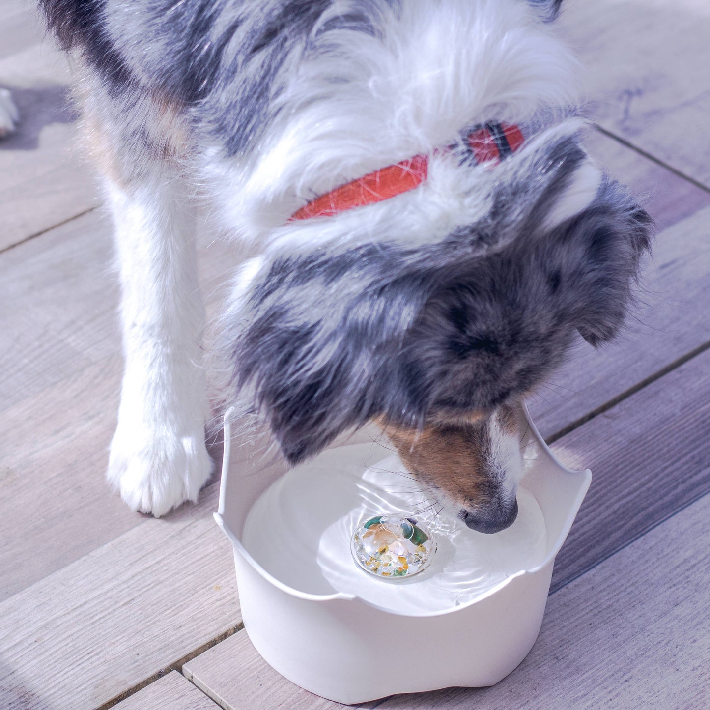 Wasserschale crown juwel  für Hund & Katze - Naturweiß